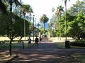 018 -  Albert Park - View from Rotunda