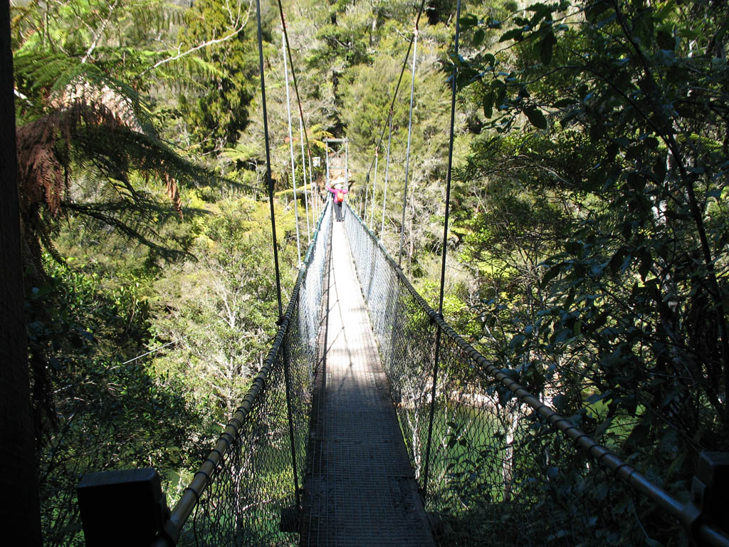 Swing Bridge à Abel Tasman National Park
