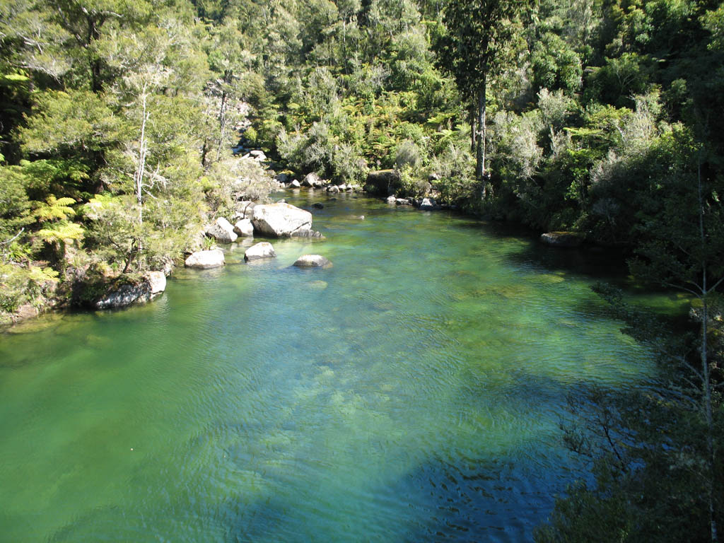 Torrent River à Abel Tasman National Park