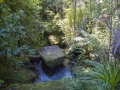 Dans la forêt d'Abel Tasman National Park