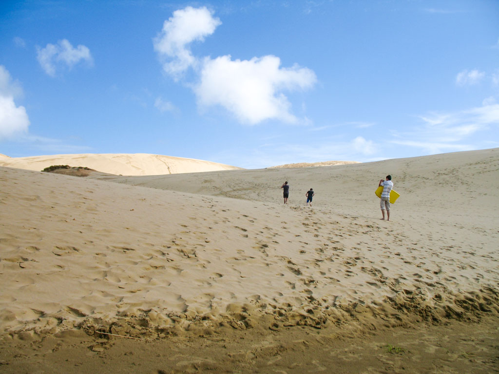 110 - Welcome To Te Paki Sand Dunes