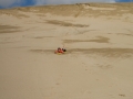 114 - Sand Boarding