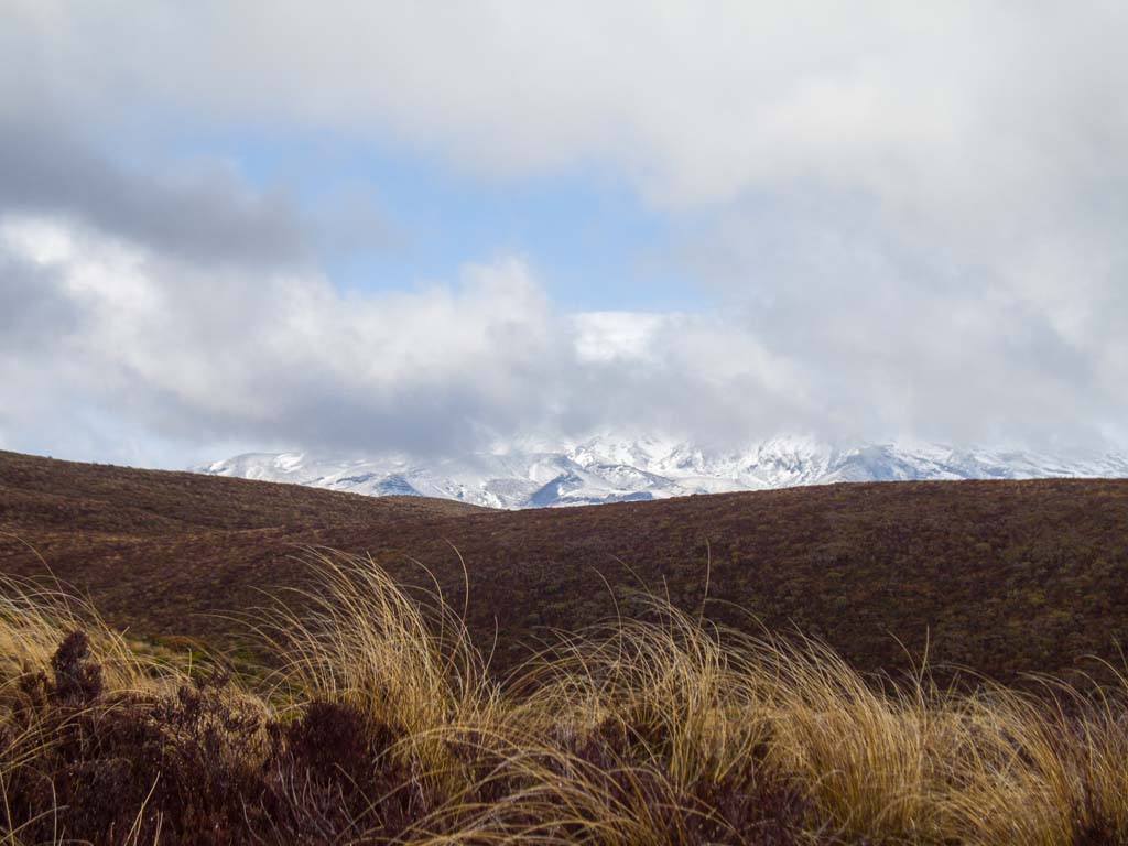 Vue du Mont Ngauruhoe