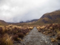 Début du Tongariro Alpine Crossing