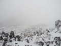 Brouillard au Tongariro Alpine Crossing