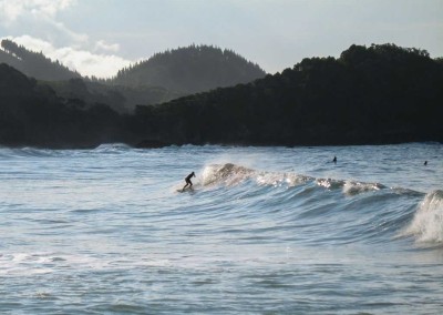 Sandy-Bay - Surf