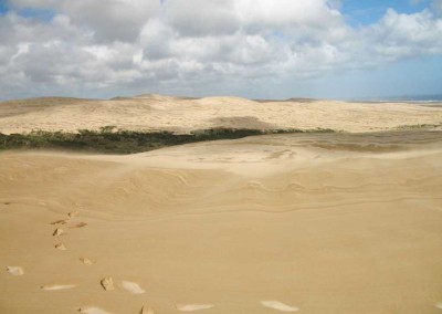 Te Paki Sand Dunes