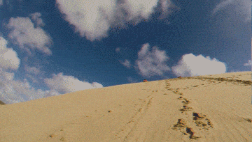 Te_Paki_Sand_Dunes_Sandboarding