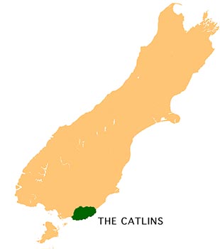 The Catlins - New Zealand